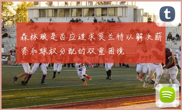 森林狼是否应追求莫兰特以解决薪资和球权分配的双重困境