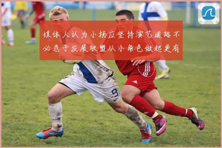 媒体人认为小杨应坚持演艺道路不必急于发展联盟从小角色做起更有前途